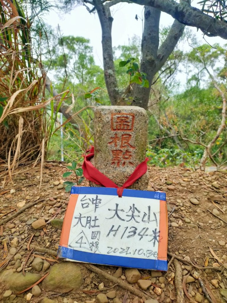 🔺基石 | 三角點_1923859