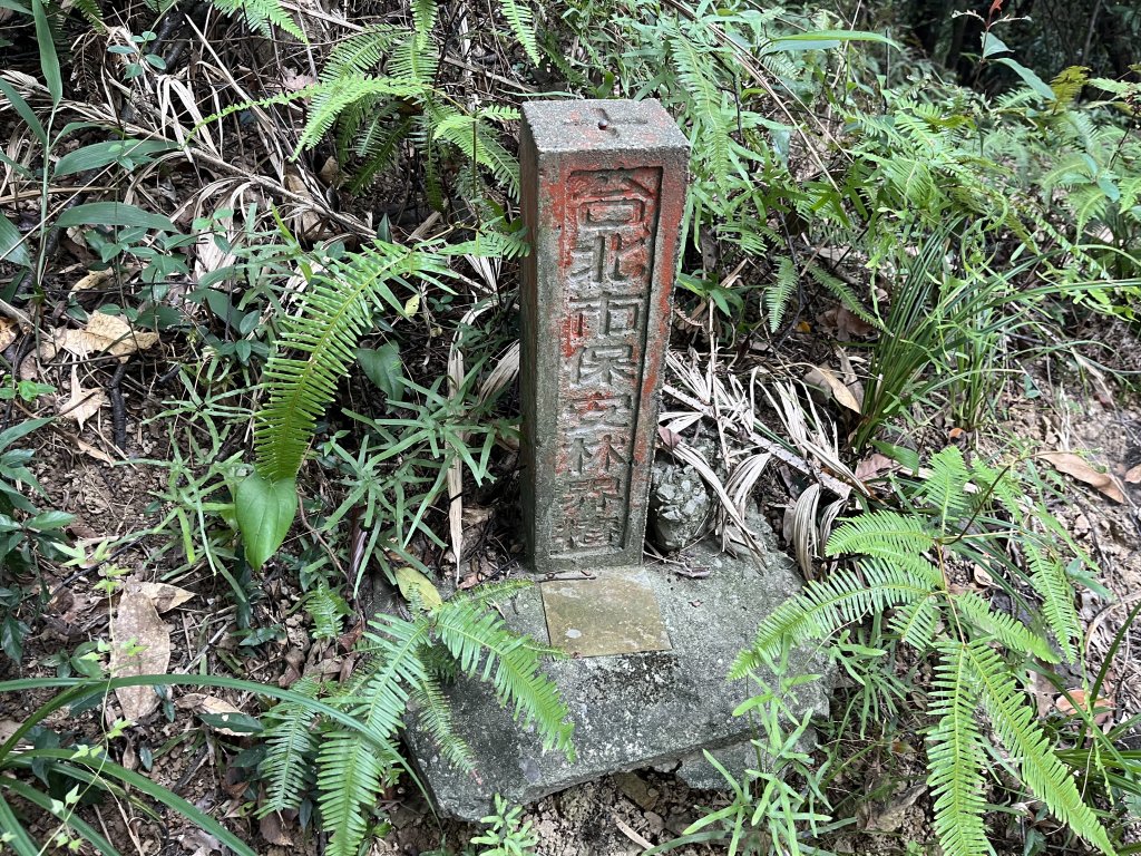 [山頂鳥40周年會員大縱走-14/15] 2024_0804 劍潭山親山步道_2566167