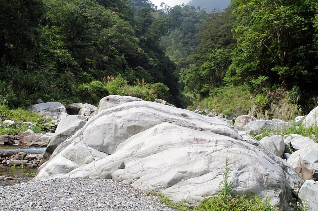 八仙山森林遊樂區_856625