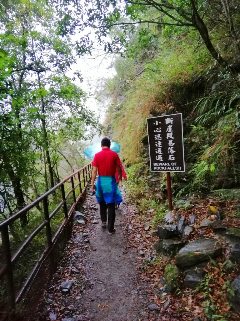 青山綠水雲霧繚繞。 綠水合流步道_769461