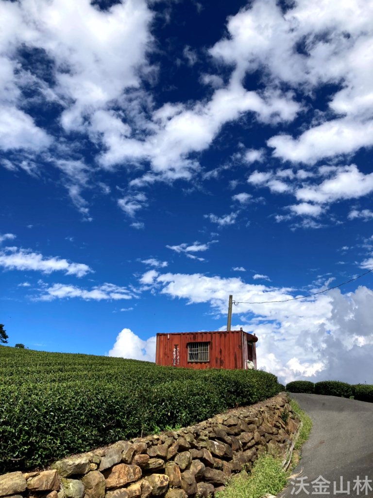 2024-11-24 二延平隙頂山_2662600