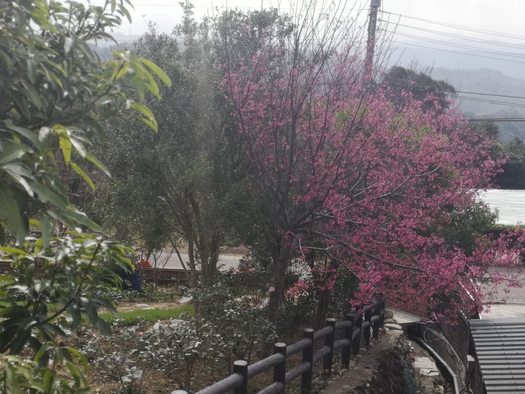 我從福人步道走去大北坑吃好料_818649