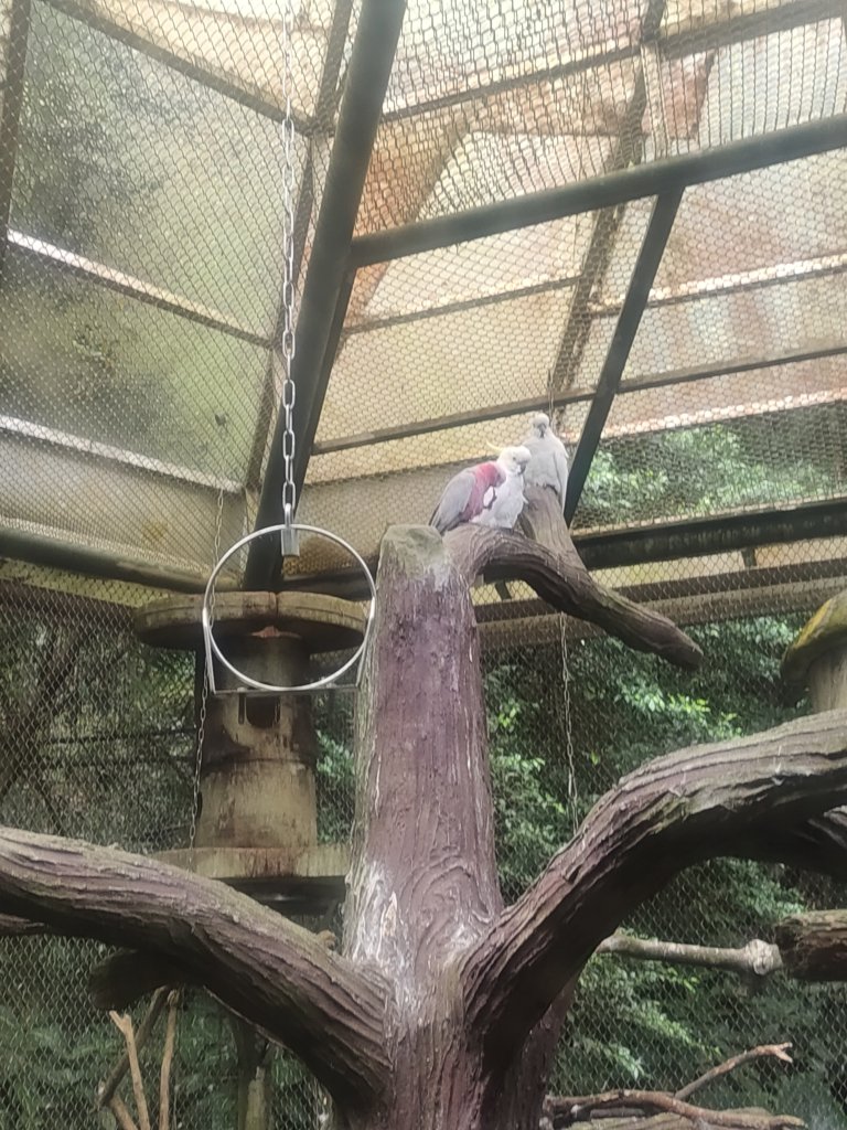 台北動物園_2664028