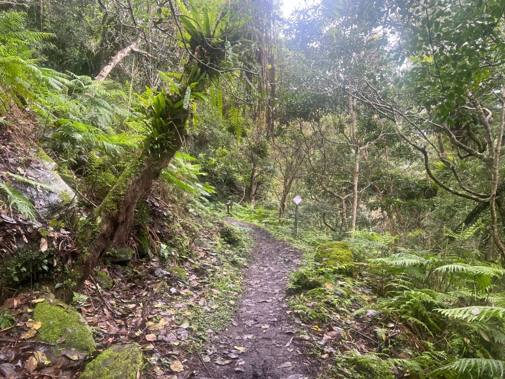 瓦拉米古道-年輕人爬山趣_2757949