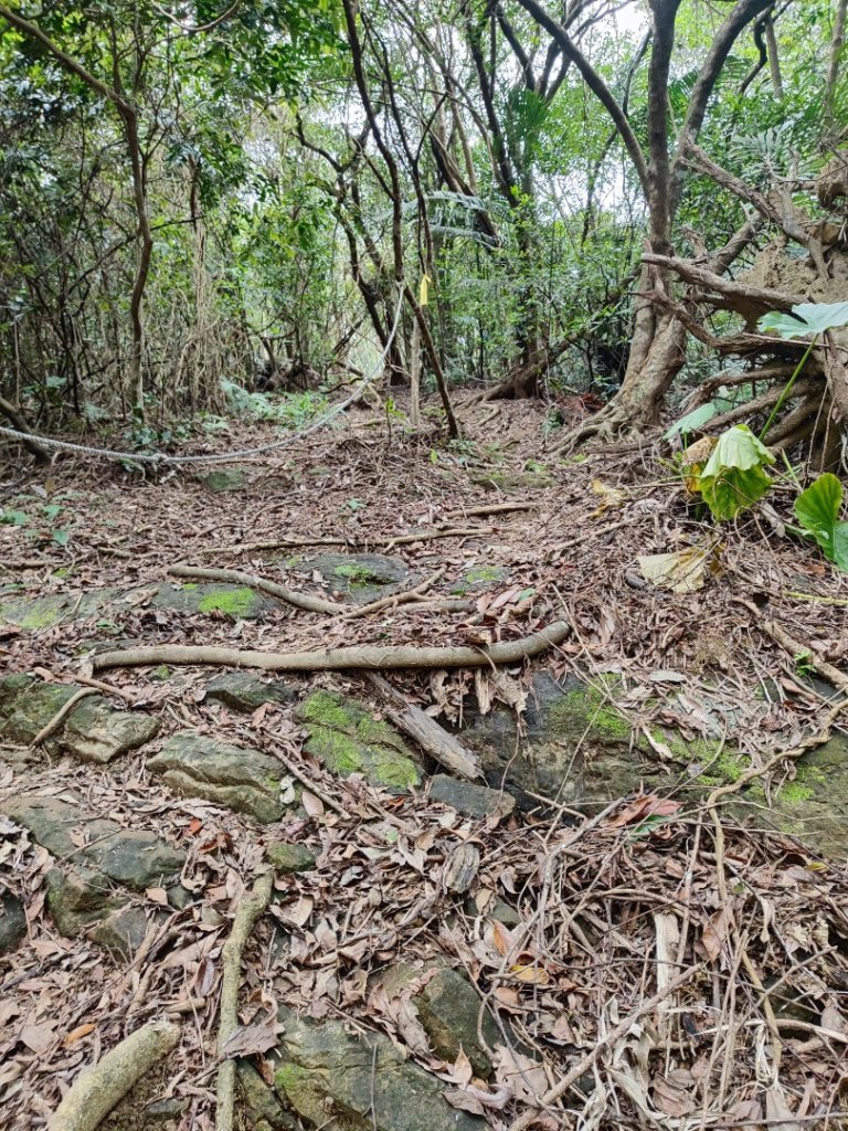 淡蘭南路2+1逆走_2671852