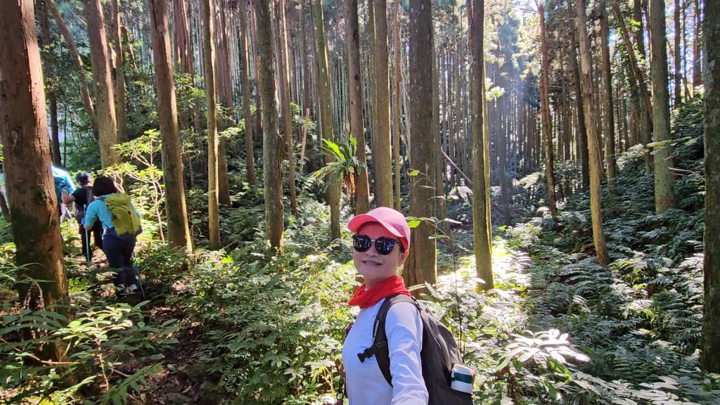 新竹尖石蓮包山+鴛鴦谷鰻潭瀑布O型走_2379193