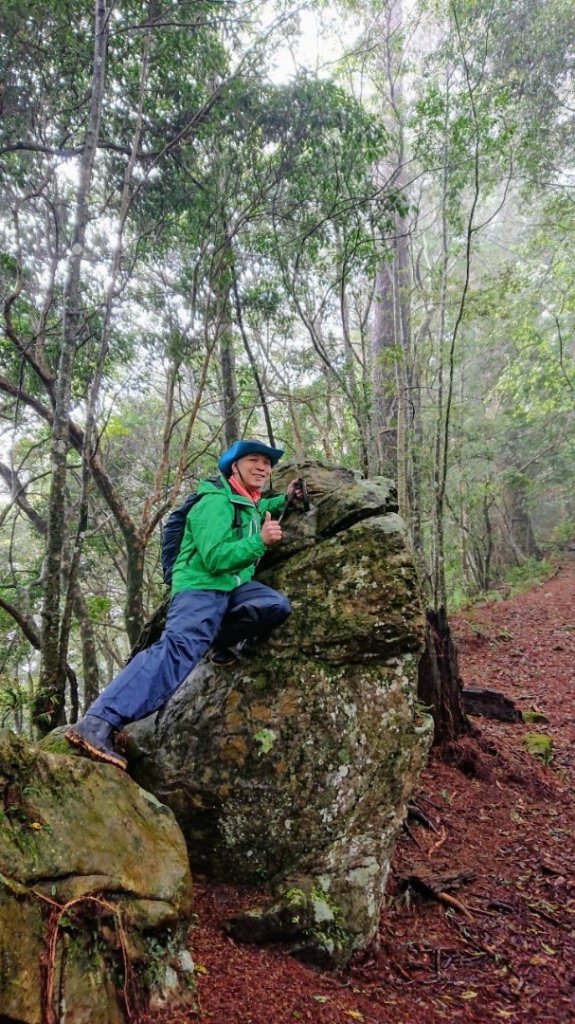 屯野生台山、石麻達山_918034