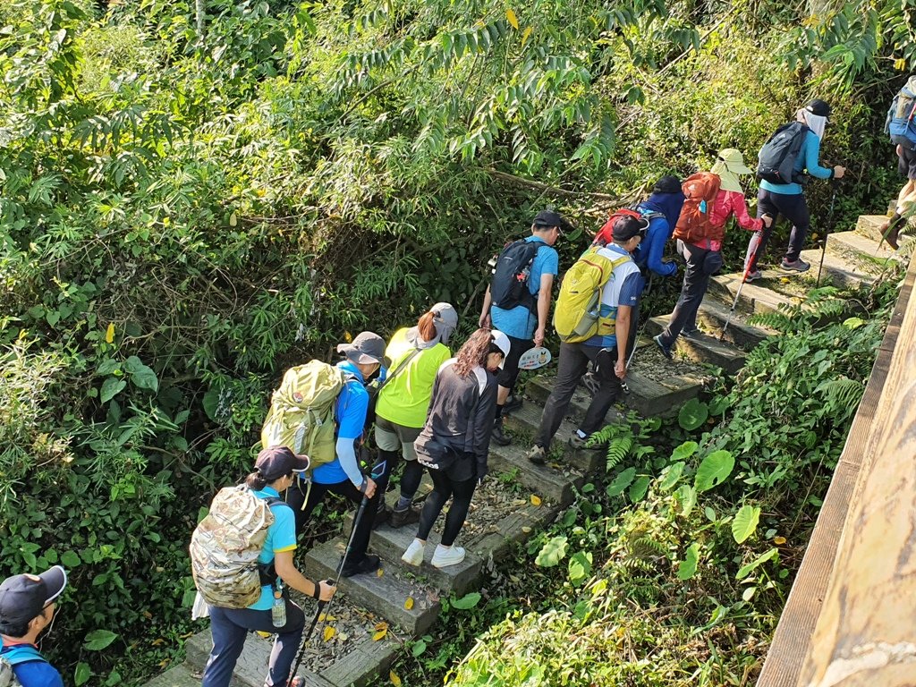 【雲嘉】後棟山連走大二尖山_1478435