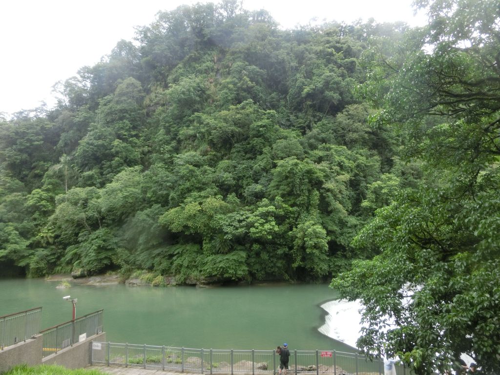 十分瀑布步道_137358