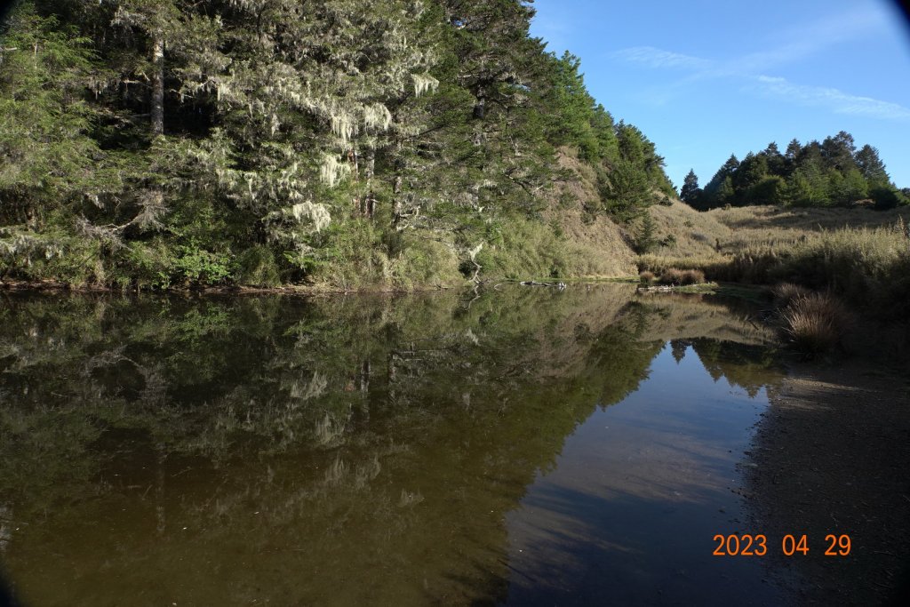 南投 仁愛 武法奈尾山_2133773