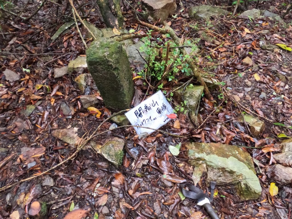 寒流凍雨中獨攀東埔上郡大山下開高山 追雪失敗 2022.2.19-2022.2.20_1617097