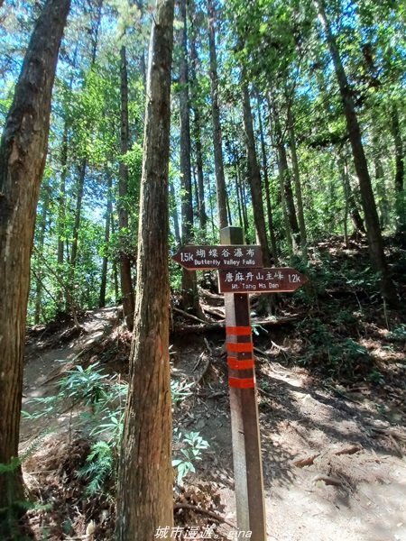 【台中和平】2022「谷關七雄，慢旅台中」登山活動認證。七雄中唯一有瀑布景觀~ 唐麻丹山x蝴蝶谷瀑布_1775973