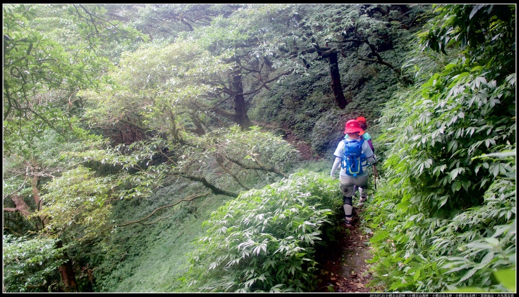 小觀音山群峰、大屯溪古道_258576