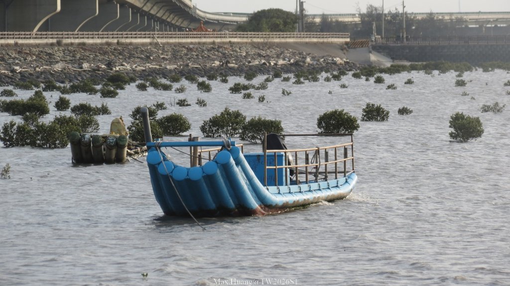 《彰化》海空夕照｜王功燈塔及芳苑海空步道健行賞冬候鳥20260110_2980332