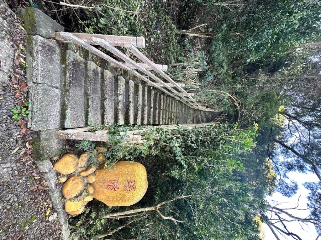 苗栗三義-三員縱走_2616398