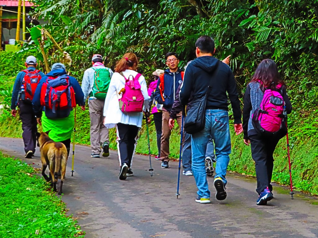 好療癒及老少咸宜的步道：百吉林蔭步道_551096
