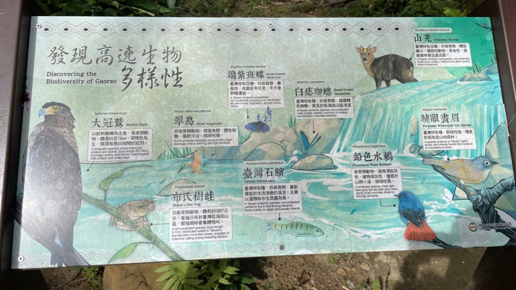 桃園-高遶溪古圳-天空吊橋-高遶溪瀑布-優霞雲瀑布-庫志溪畔步道-東眼山_2942022