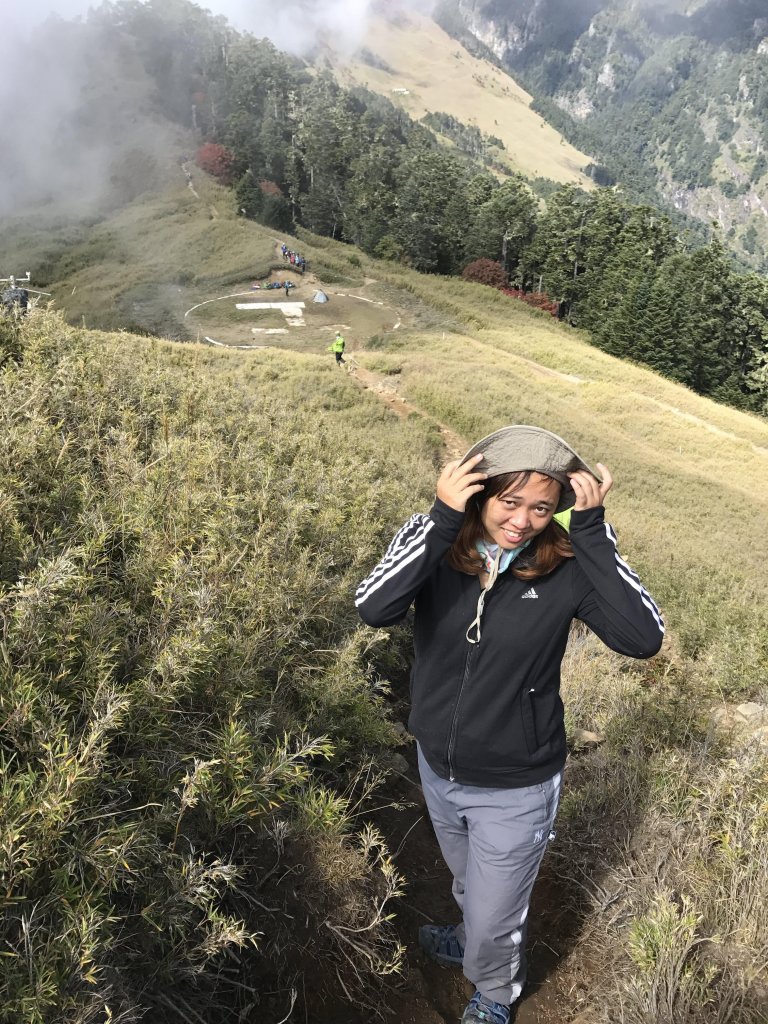 雪山 不下雪_533077