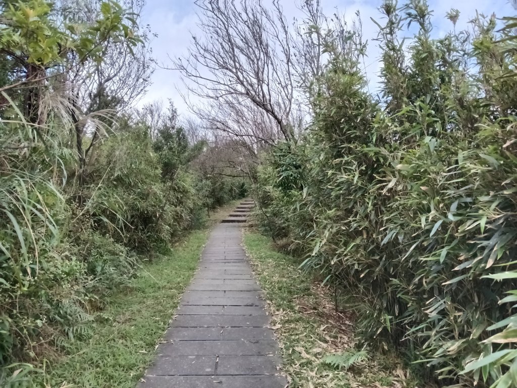 基隆市暖東舊道+頂子寮山+五分山步道(五分山)去回_2946222