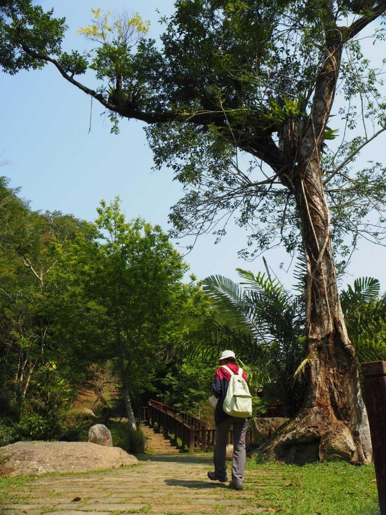 嘉義圓潭自然生態園區（圓潭及青年嶺步道）_553398