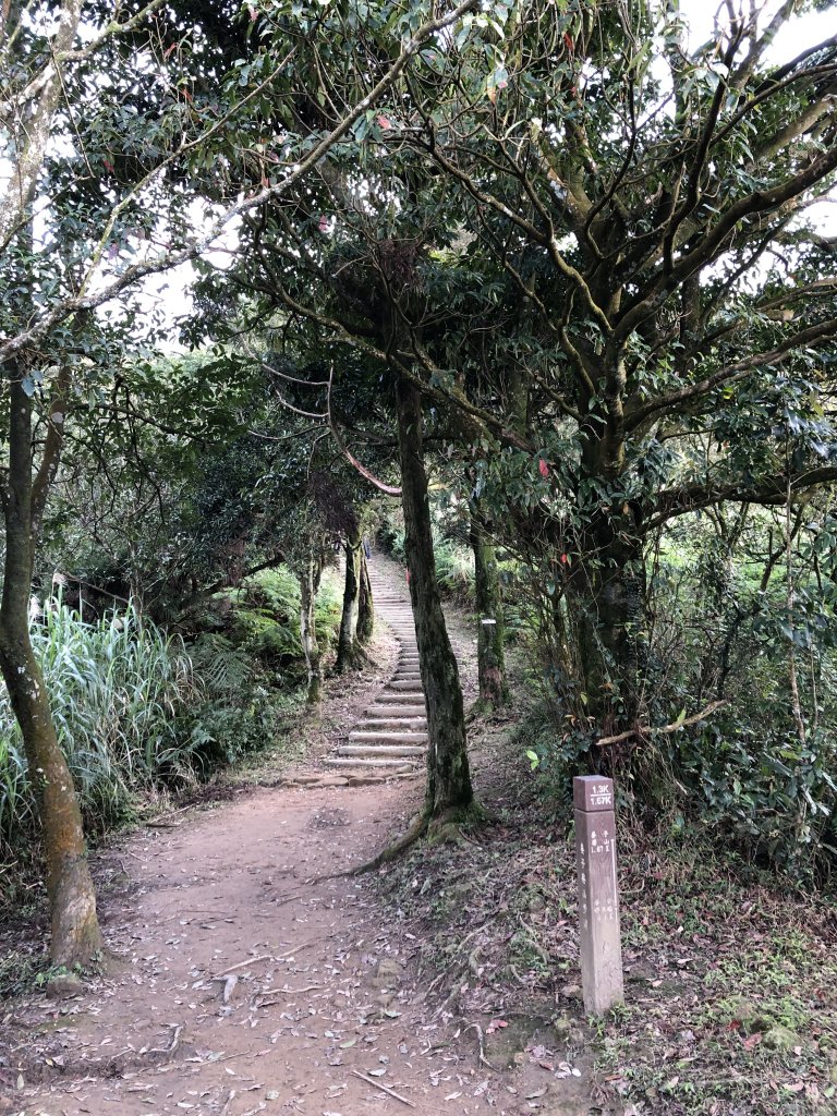 台灣小百岳No.011姜子寮山_908428