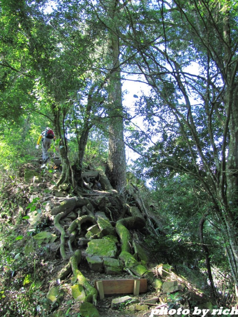 步道小旅行~~唐麻丹山蝴蝶谷瀑布_1761