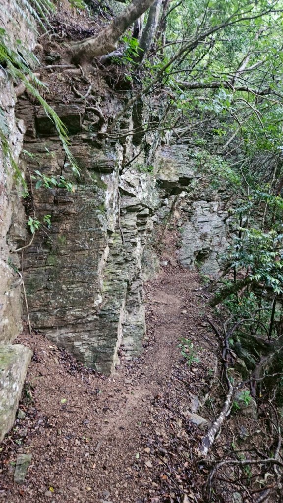 20250413浸水營古道_2760338