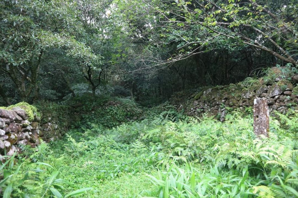 〔陽明山 〕面天山 向天山 向天池 二子坪步道。火山口湖 獨特生物蚌蟲 向天蝦（豐年蝦）_2235410