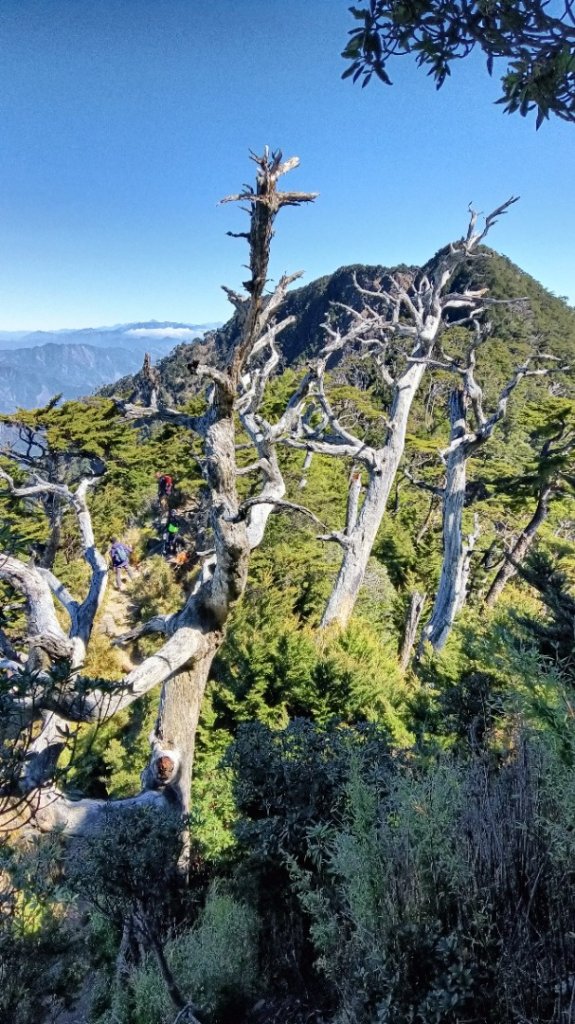 20240212 15小時的北大武山_2424023