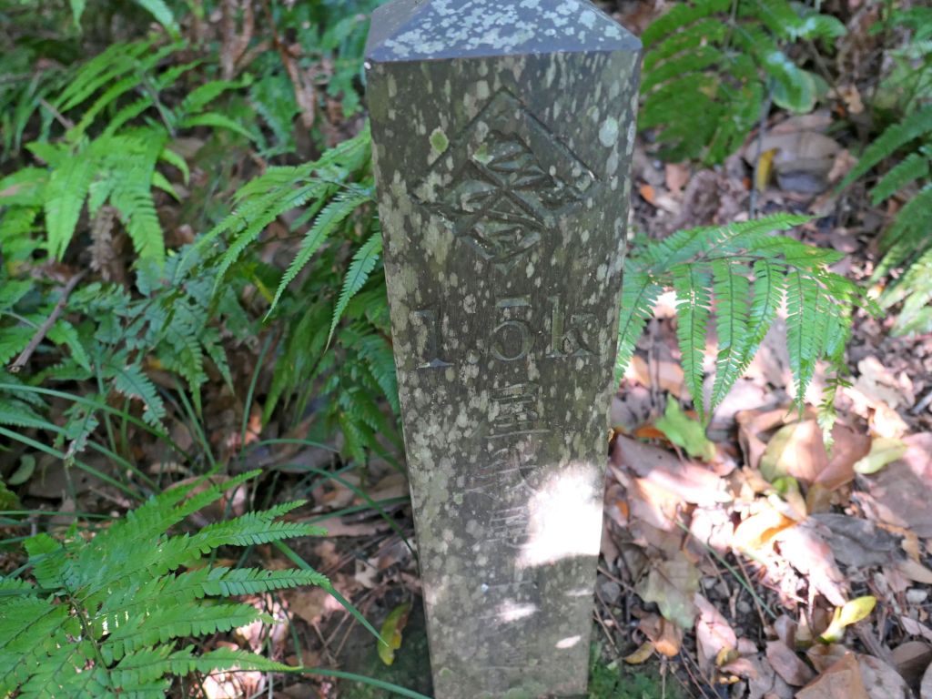 終於來登麗陽線屋我尾山2018/5/12_331812