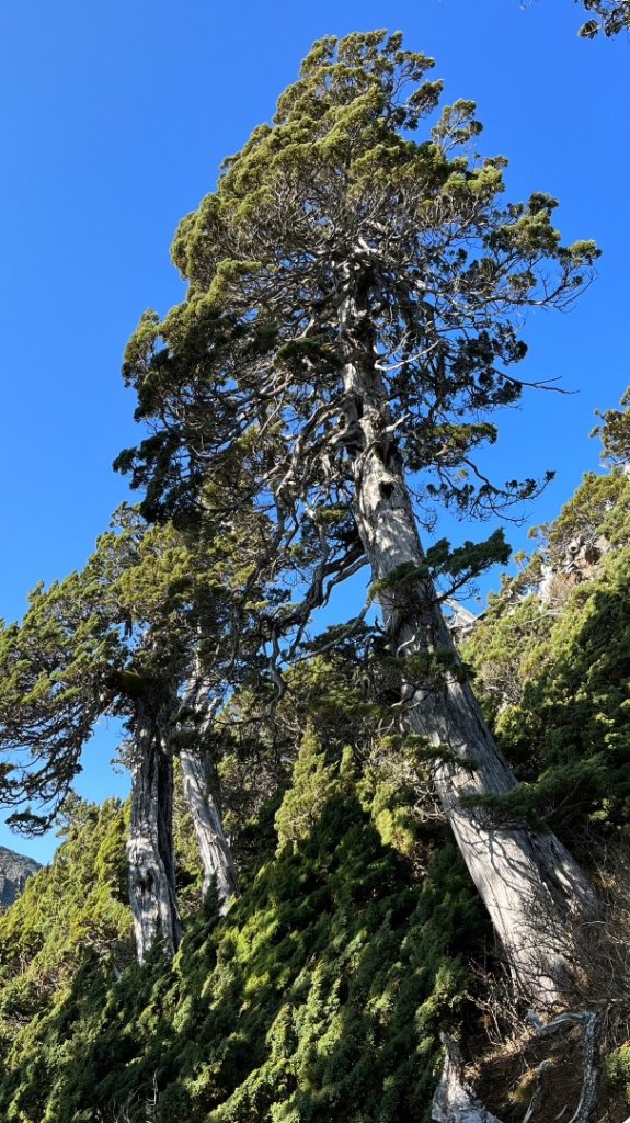 四熟女雪山四日逍遙遊_2304877