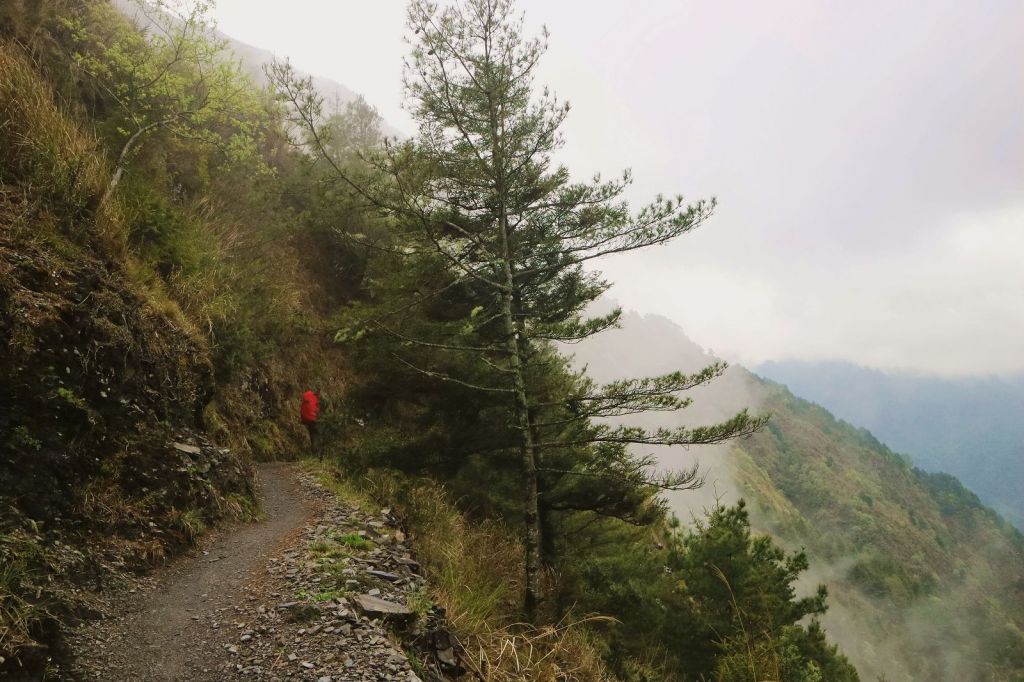 玉山群峰~淒風霧雨砥礪山行_119087