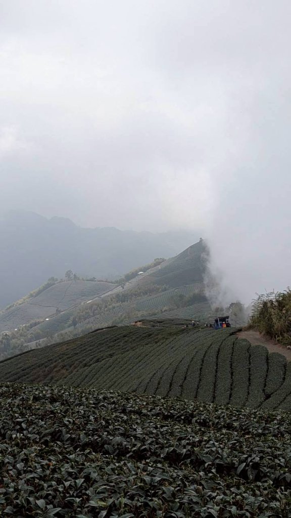 雲嘉五連峰 (大尖山、二尖山、馬鞍山、梨子腳山、太平山)_2991054