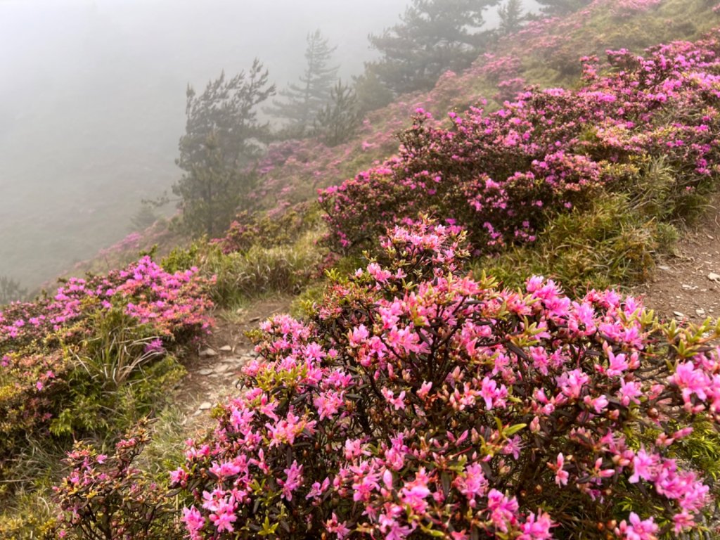 狂風暴雨的合歡北峰_1748670