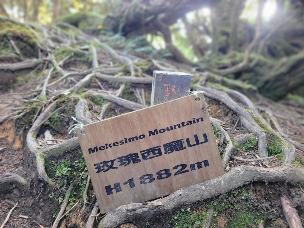 20230219 塔魔巴_2037329