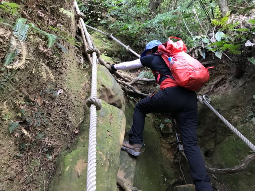 猴山岳環走二格山_373126