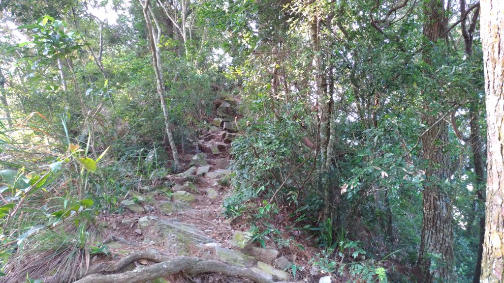 唐麻丹山+蝴蝶谷瀑布O型縱走_374539