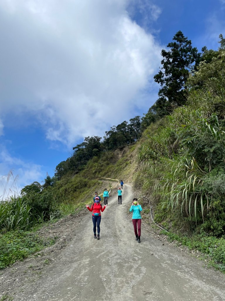 2度強渡關山未竟之藤枝國家森林遊樂區 多納部落 新威森林公園輕鬆走_1880447