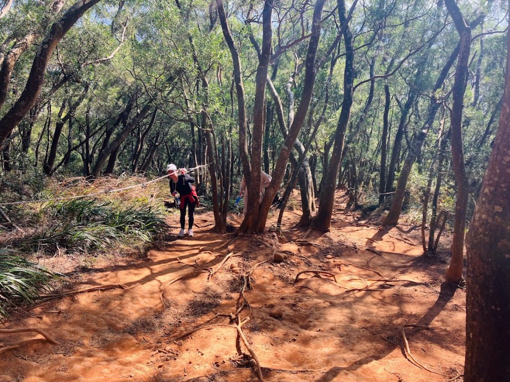 火炎山封面圖