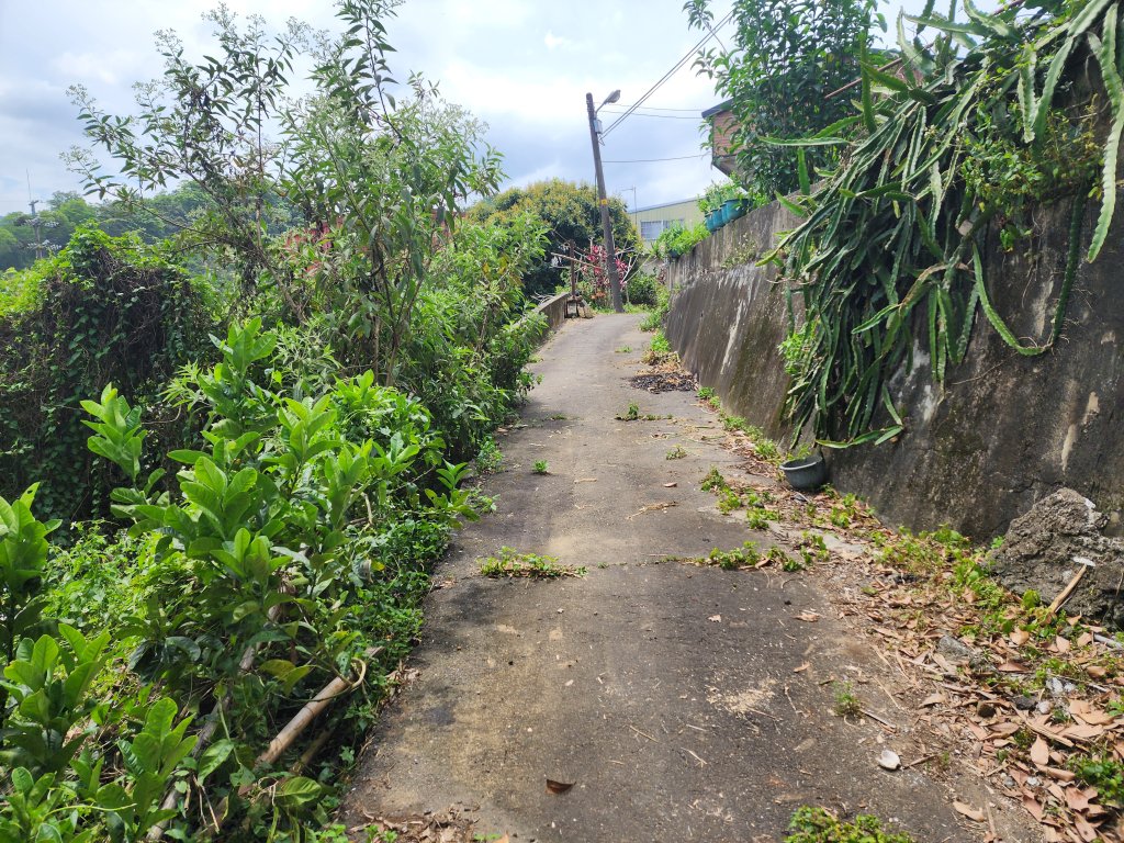 20250419蕩跋山劉家界山老社寮山新富山_2936241