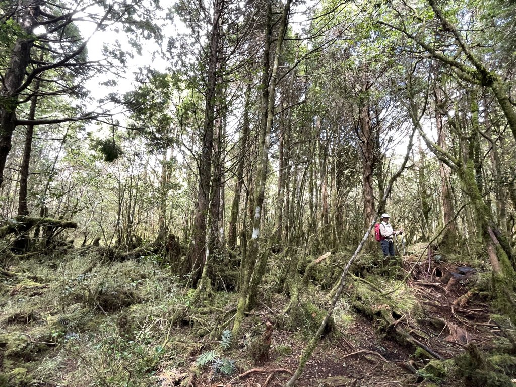 魔幻森林三星山與三星池_1658272