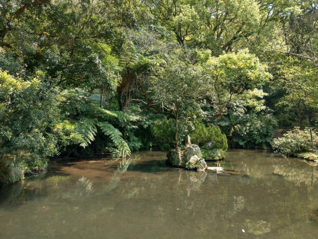 陽明山+竹子湖賞花_886637