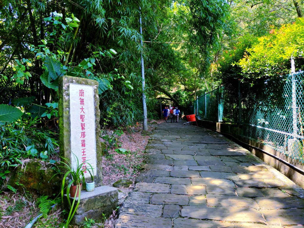 城市清涼桃花源：土城桐花公園步道_632901
