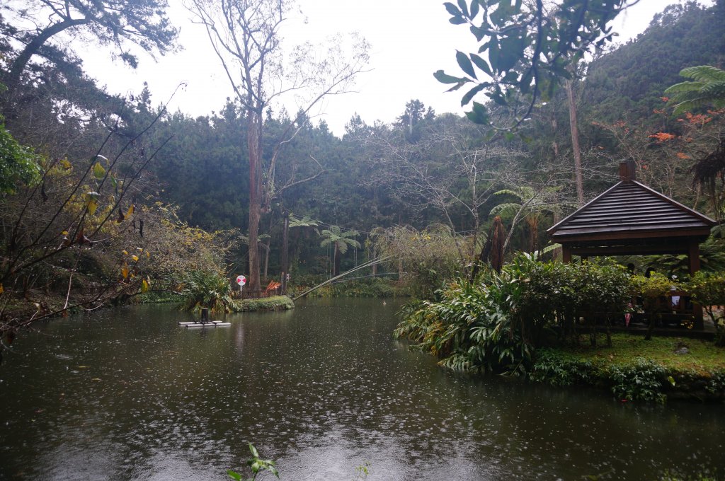 溪頭自然教育園區_2016888