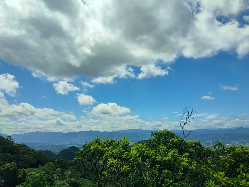 內湖［碧山露營場］［s形空中廊道］封面圖