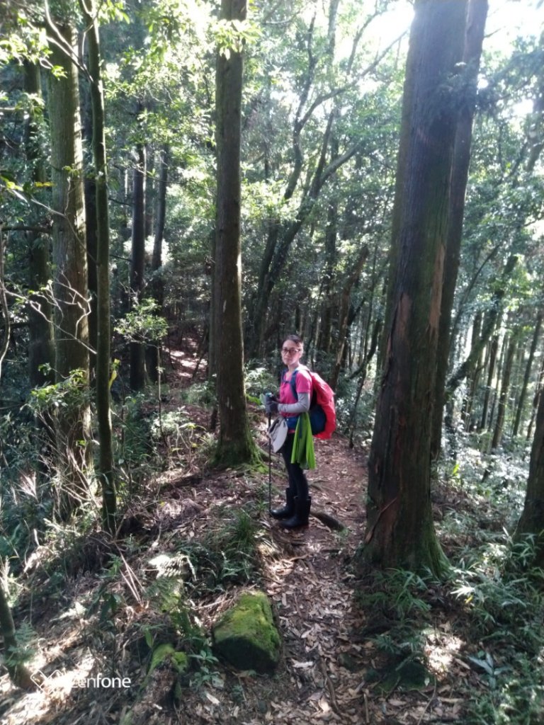 1090801五峰天際線，鳥嘴進上坪出_1053803