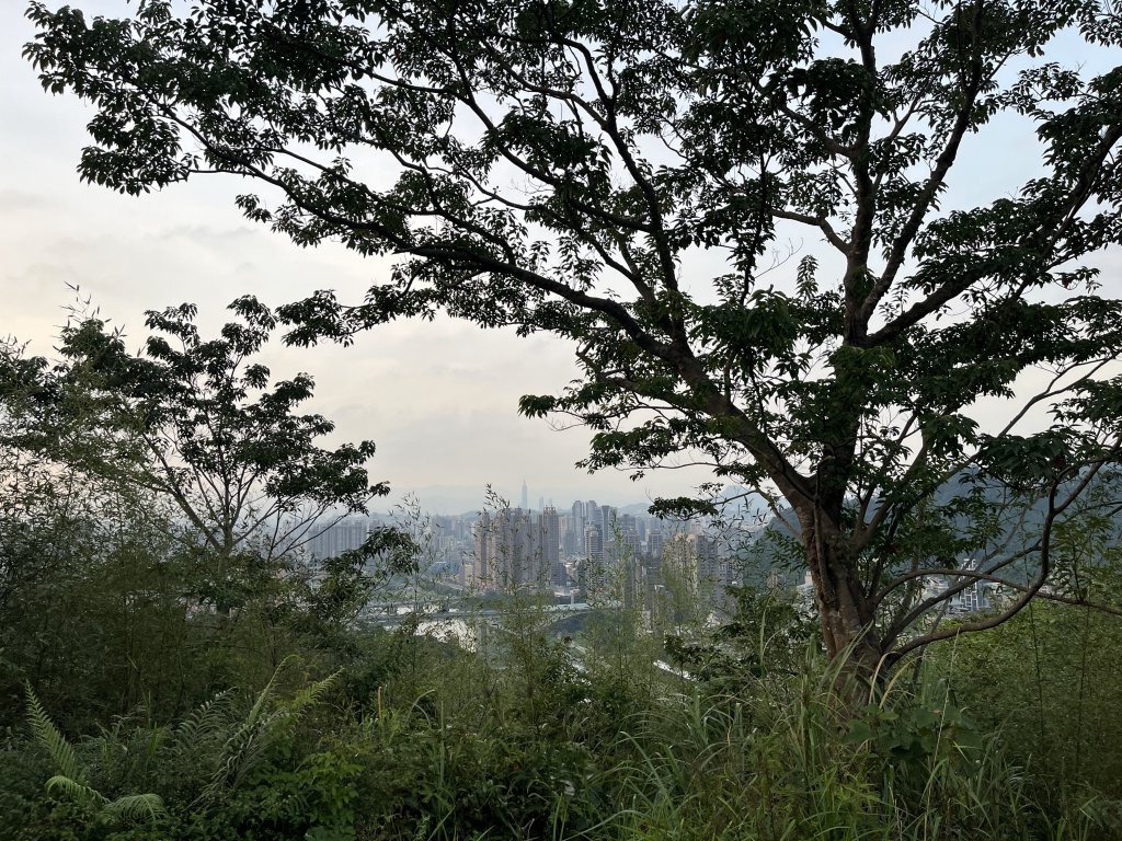 [微笑山線_第六段] 2025_0807 二格山系_和美山螢火蟲段_2854649