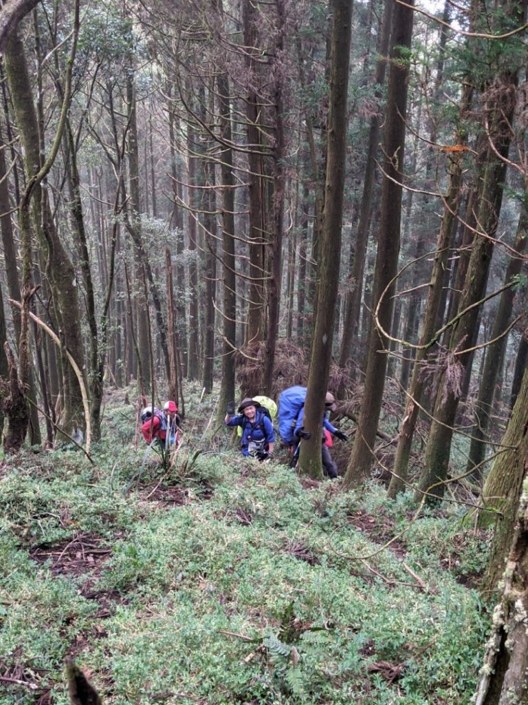露門山路門_1321448