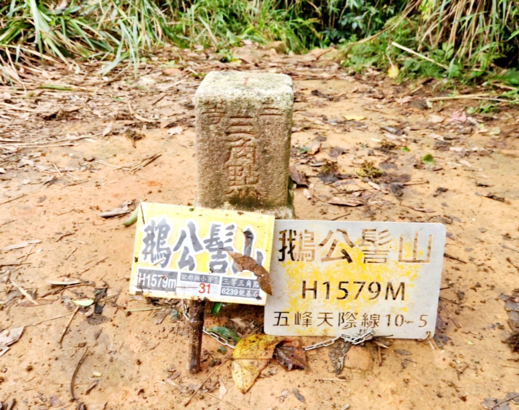 【中級山】有一種美，令人不想回家，新竹鵝公髻山_2744642