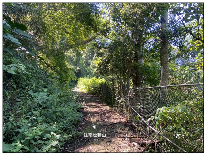 南松鶴山～八仙山 (台中 和平)_2926068